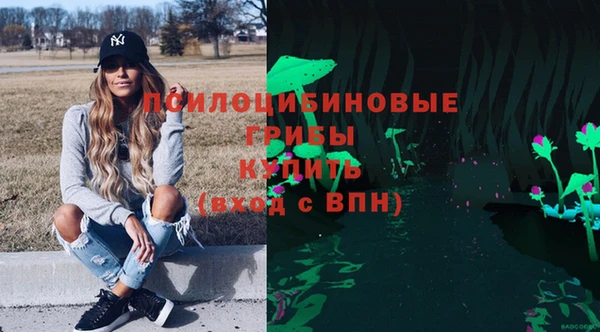 ешки Абаза