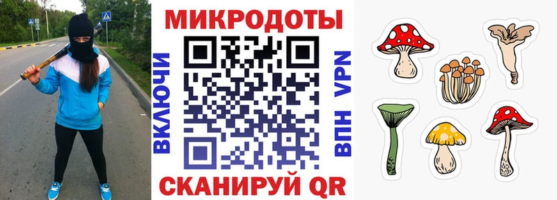 наркотики  Губкин  Псилоцибиновые грибы мухоморы 